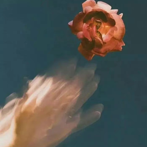 中国XⅩXⅩⅩx免费视频
