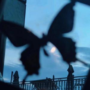 中国XⅩXⅩⅩx免费视频
