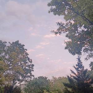 中国XⅩXⅩⅩx免费视频
