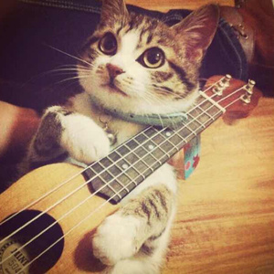 中国XⅩXⅩⅩx免费视频
