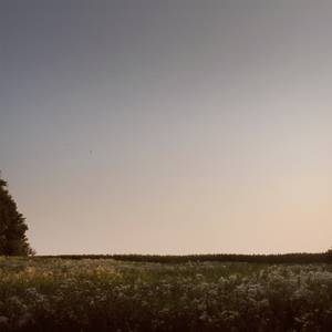 中国XⅩXⅩⅩx免费视频
